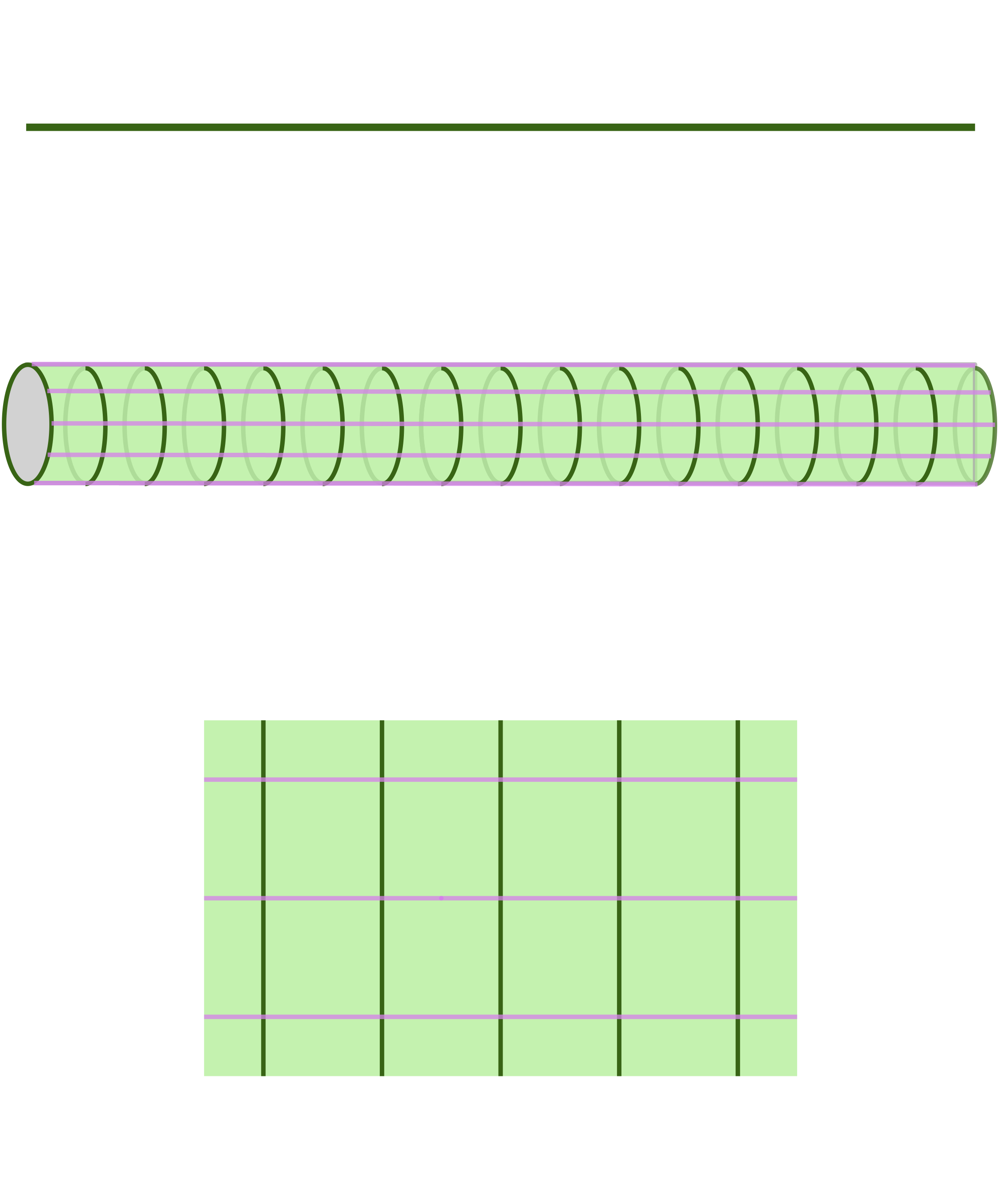 Illustration for Other Dualities: Geometry and Force
